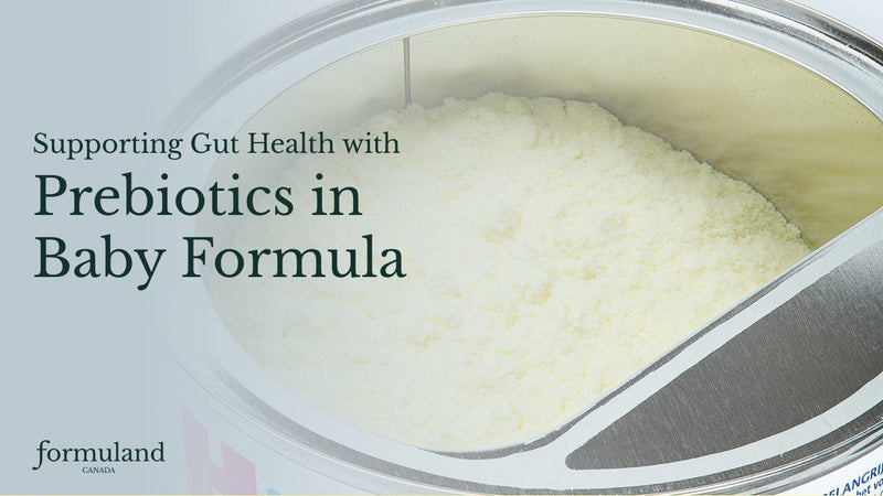 Prebiotics in Baby Formula: What Parents Need to Know - Formuland Canada