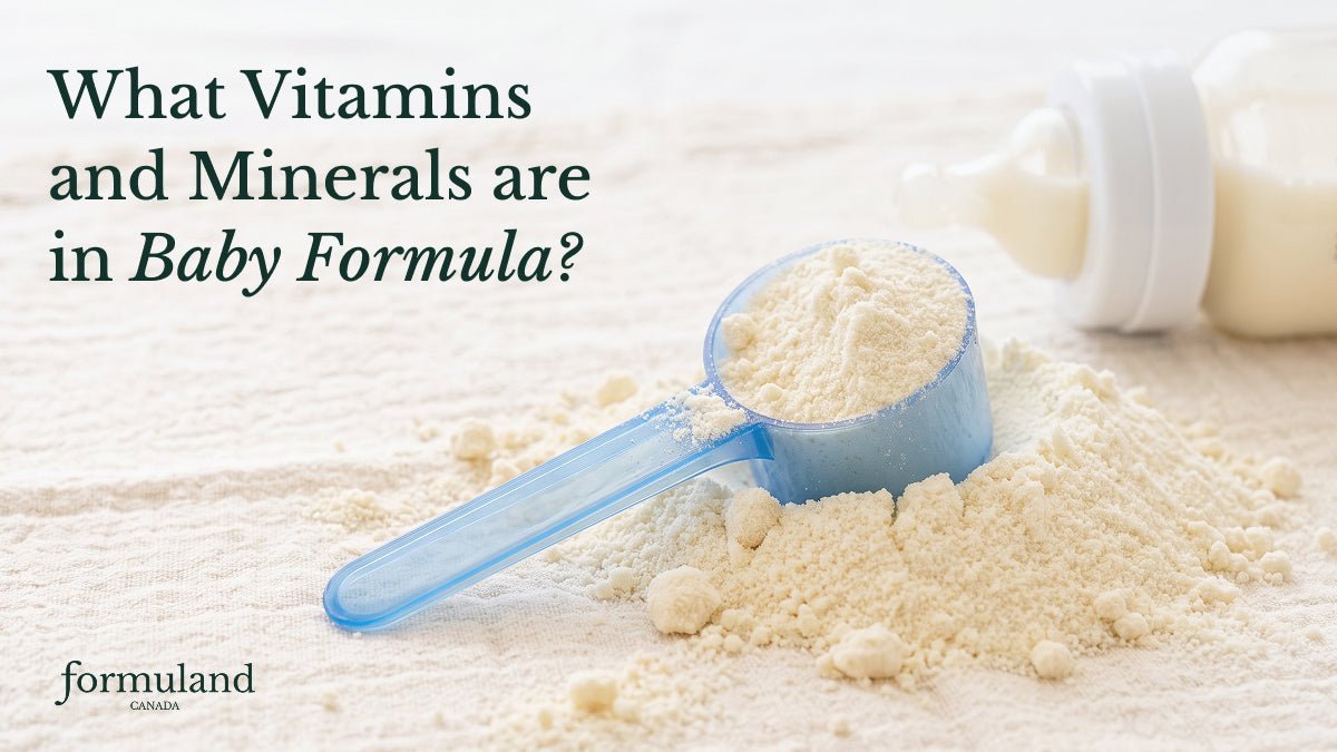 What Vitamins and Minerals are in Baby Formula? - Formuland Canada